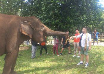 Dokter Hewan Zoo Centar Serbia Stevan Tokin Kunjungi Lembah Hijau Lampung