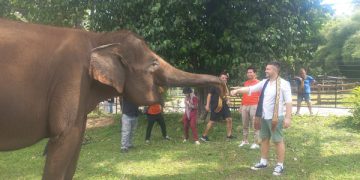 Dokter Hewan Zoo Centar Serbia Stevan Tokin Kunjungi Lembah Hijau Lampung