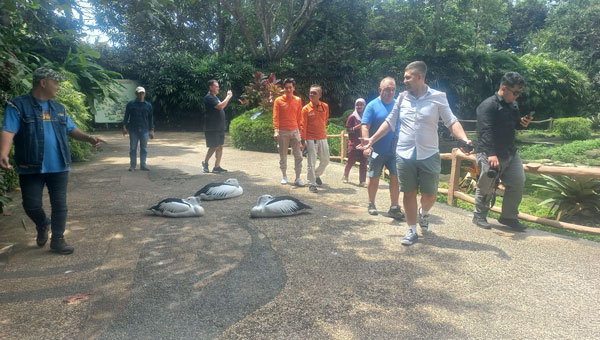 Stevan Tokin bersama jajaran Lembah Hijau Lampung saat berada di kolam Burung Pelikan