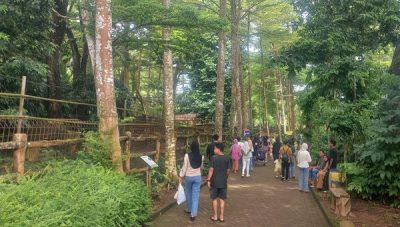 Taman Satwa Lembah Hijau Lampung