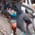 Ular Piton di Bandar Lampung