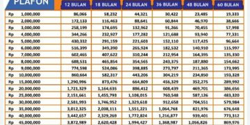 Angsuran pinjaman KUR BRI