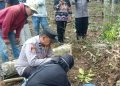Warga Tanggamus Tertimpa Pohon