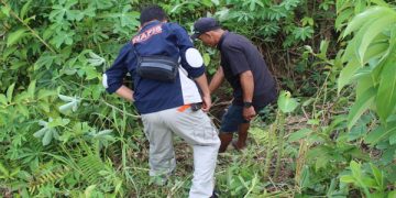 Cekcok Berujung Maut di Tanggamus