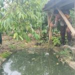 Balita Tenggelam di Tanggamus