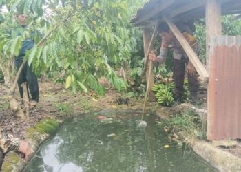 Balita Tenggelam di Tanggamus