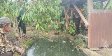 Balita Tenggelam di Tanggamus