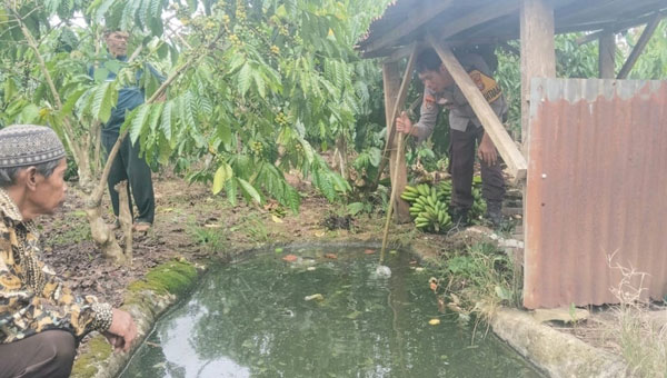Balita Tenggelam di Tanggamus