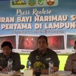 Konferensi Pers kelahiran dua anak Harimau Sumatera di Lembah Hijau Lampung