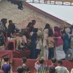 Tawon Serbu Pesta Pernikahan di Lampung Selatan