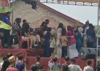 Tawon Serbu Pesta Pernikahan di Lampung Selatan