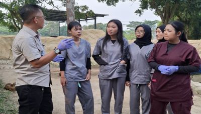 Mahasiswa Magang di Lembah Hijau Lampung