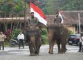 Gajah ikut upacara HUT ke-81 Ri di Lembah Hijau Lampung