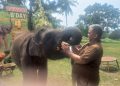 Ultah ke-4 Gajah Rawana di Lembah Hijau Lampung