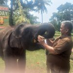 Ultah ke-4 Gajah Rawana di Lembah Hijau Lampung