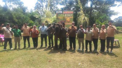 Ultah ke-4 Gajah Rawana di Lembah Hijau Lampung