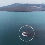 Daratan Baru Dekat Gunung Anak Krakatau